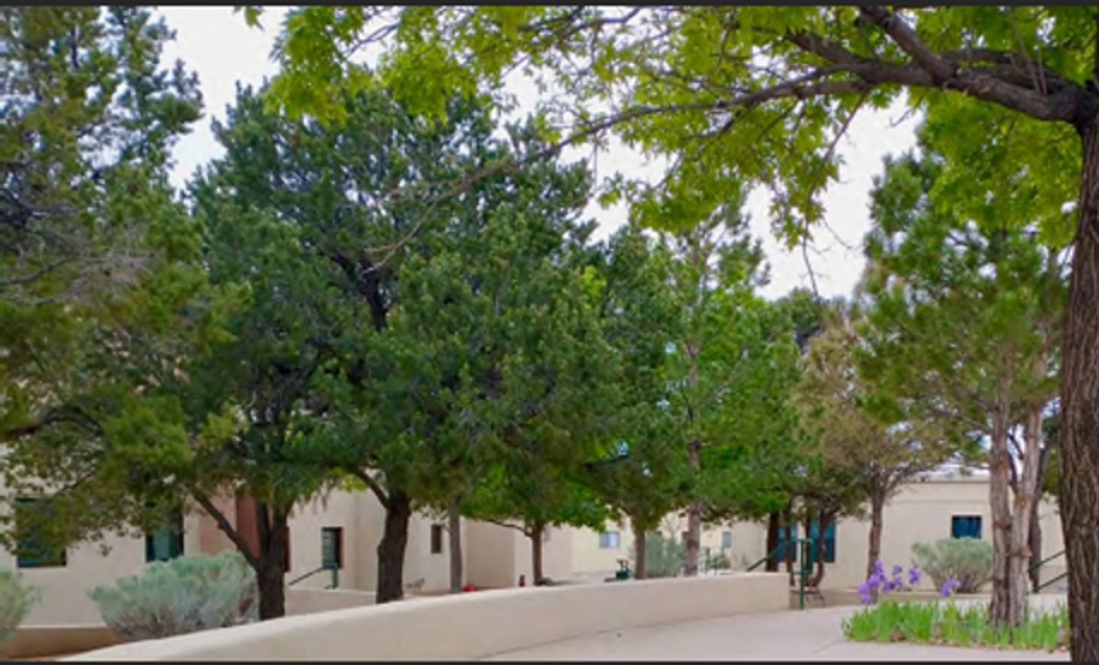 The Campus Grounds